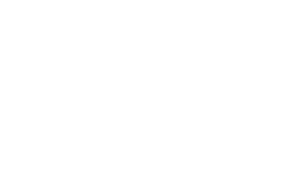 Nexfin